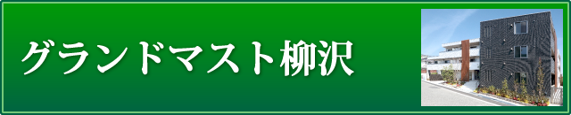 グランドマスト柳沢